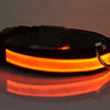 Leads Light Luminous Fluorescent Pet Dog Collar