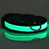 Leads Light Luminous Fluorescent Pet Dog Collar