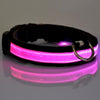 Leads Light Luminous Fluorescent Pet Dog Collar