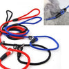 Nylon Rope Training Leash Traction Pet Collars